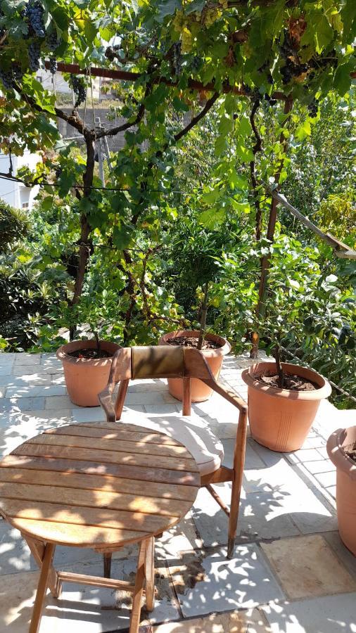 Camping Late Gjirokaster Luaran gambar