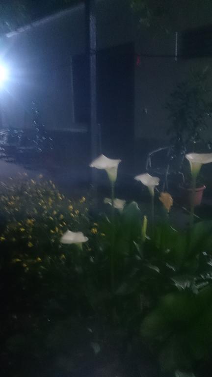 Camping Late Gjirokaster Luaran gambar