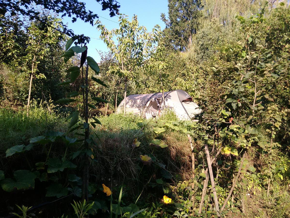 Camping Late Gjirokaster Luaran gambar
