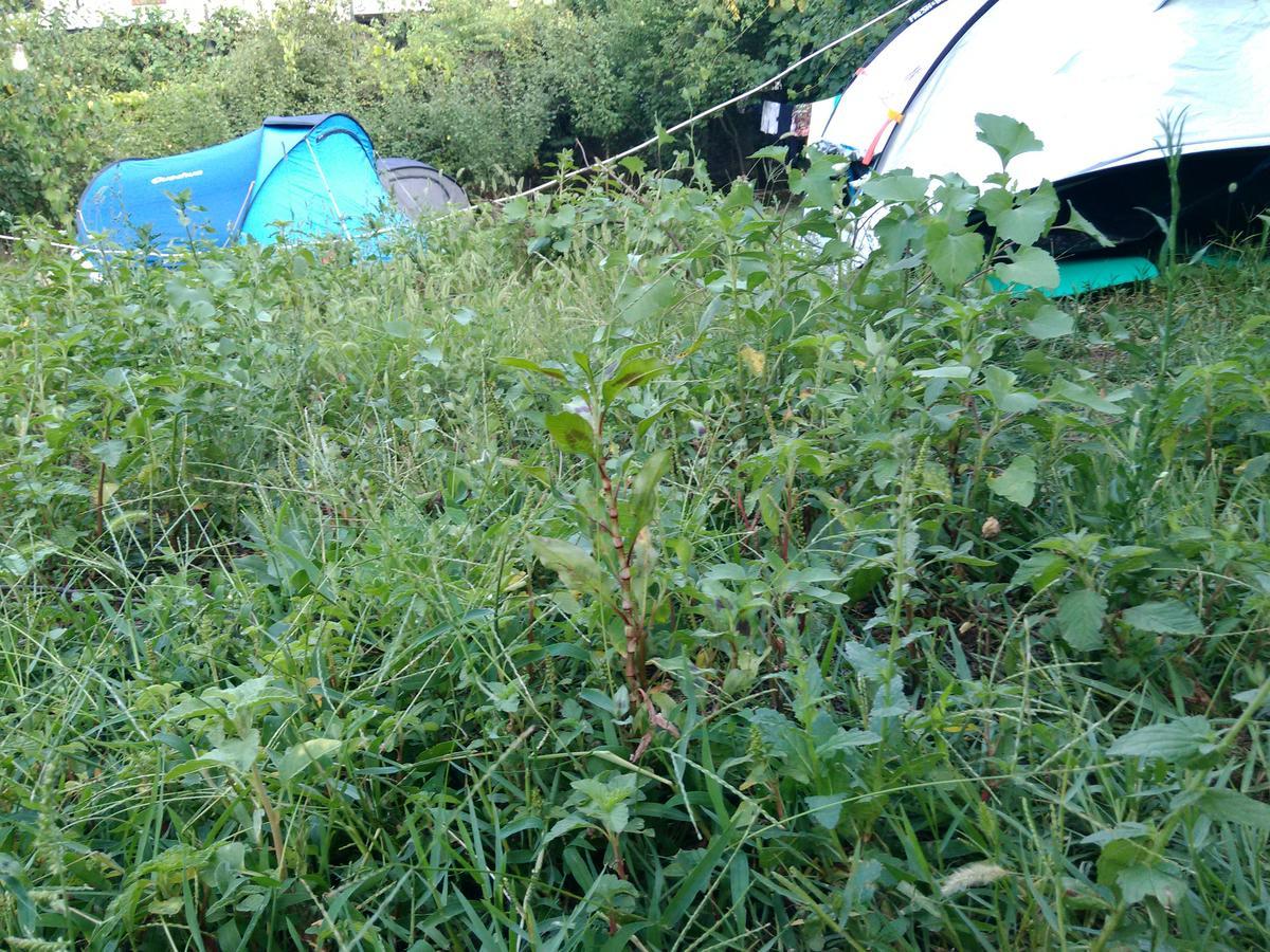 Camping Late Gjirokaster Luaran gambar
